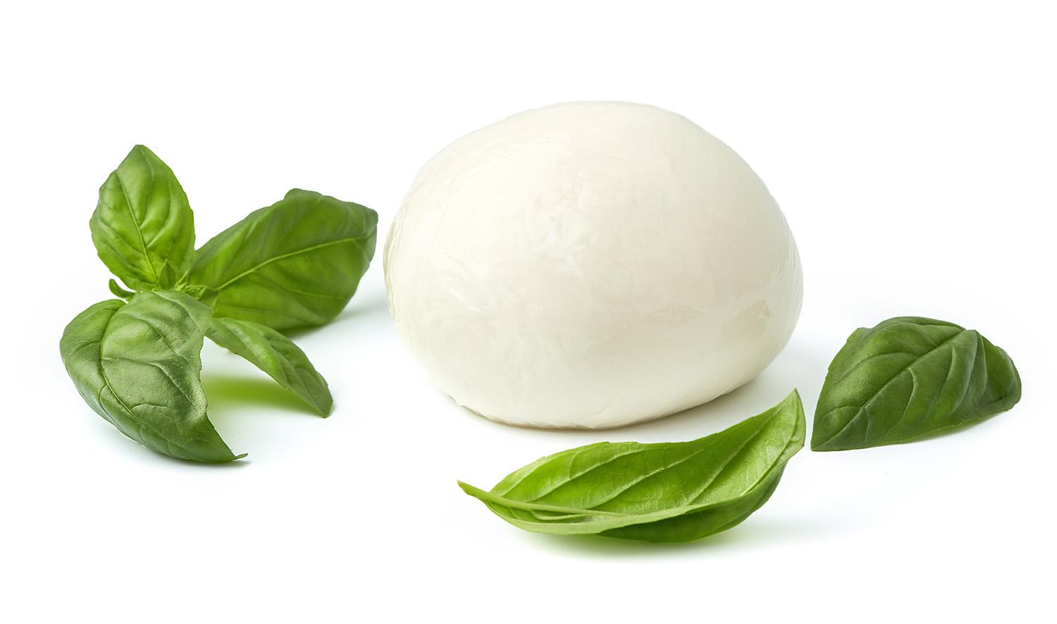 Mozzarella Premium 1KG - Le Berger