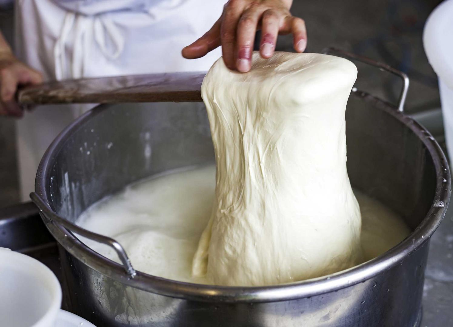 Fresh Handmade Italian Cheese Palm Beach